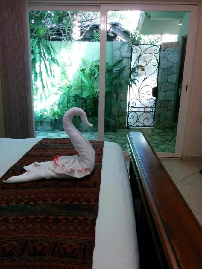 Casa Beard, Spacious Guest House With High Speed Wifi & Pool. Плая-дель-Кармен Экстерьер фото